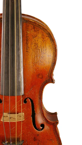 El violín — Foto de Stock