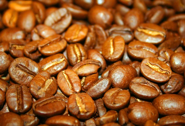 Фон кави в зернах Ліцензійні Стокові Зображення