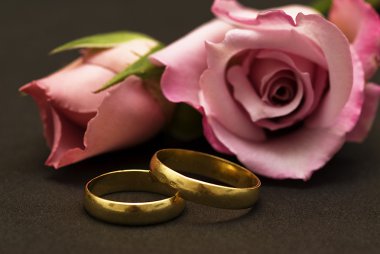 Wedding rings. clipart