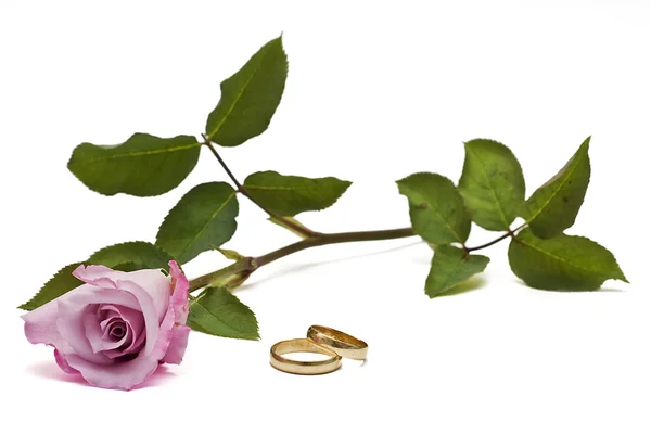 Wedding rings and pink rose. — Stock Photo, Image