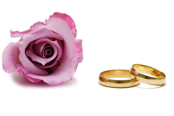 Anéis de casamento e rosa rosa . — Fotografia de Stock
