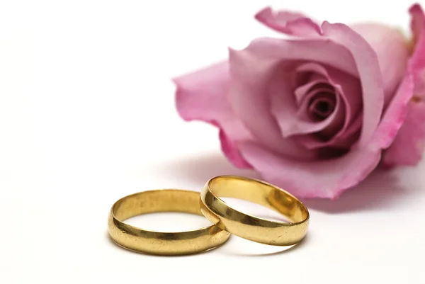 Snubní prsteny a růžové růže. — Stock fotografie