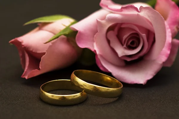 Anéis de casamento. — Fotografia de Stock