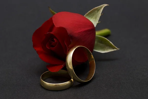 結婚指輪. — ストック写真