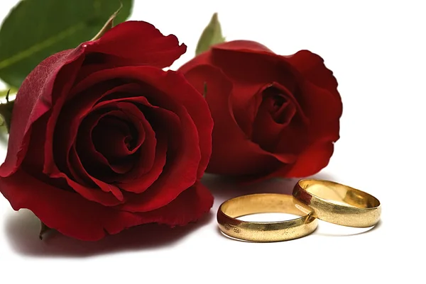 Svatební prsteny. — Stock fotografie