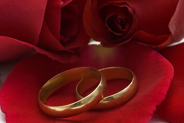 Свадебные кольца. — стоковое фото