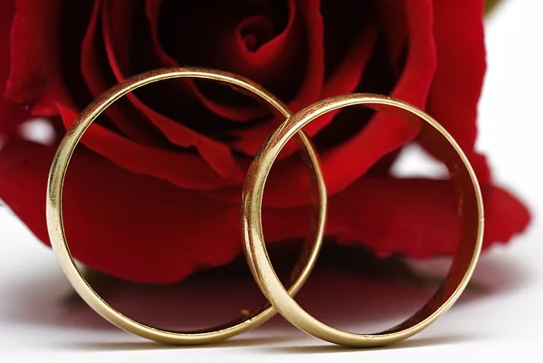 Anéis de casamento. Imagens Royalty-Free