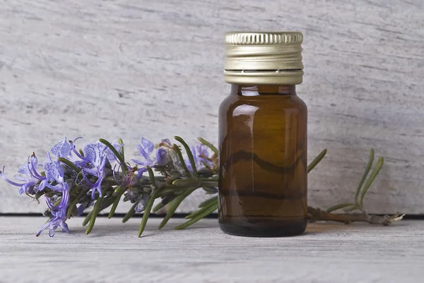Rosemary and its oil. — Stock Photo, Image