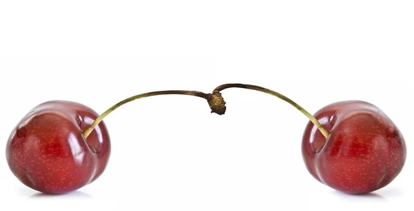 Two fresh cherries. — Stock Photo, Image