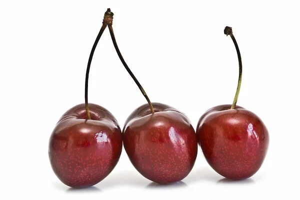 Три вишни . — стоковое фото