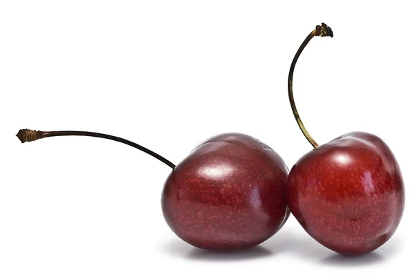 A pair of fresh cherries. — Stock Photo, Image