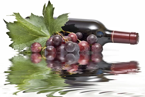 Riflessioni sul vino . — Foto Stock