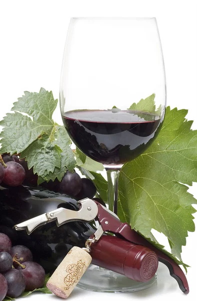 Mondo del vino rosso . — Foto Stock