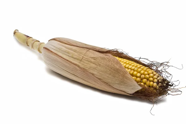 64+ Thousand Corn Husk Royalty-Free Images, Stock Photos & Pictures