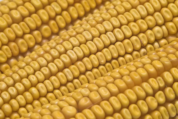 Крупный план из кукурузных ушей . — стоковое фото