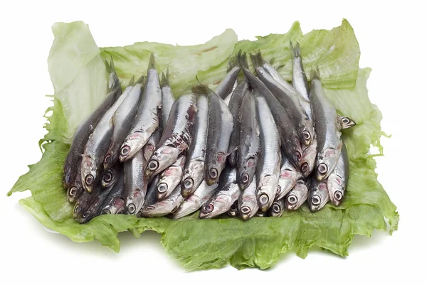 Anchovies over lettuce leaves. — Stock Photo, Image