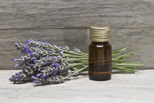 Lavender oil. — Stock Photo, Image