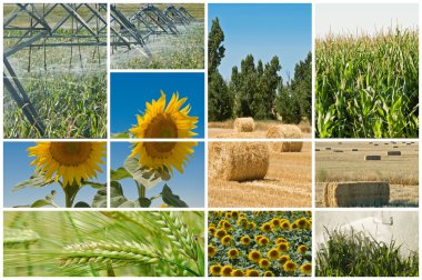 Agriculture and ecology. clipart