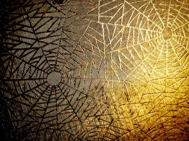 Cobwebs clipart