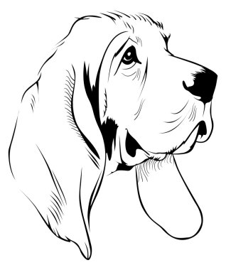 Dog face clipart