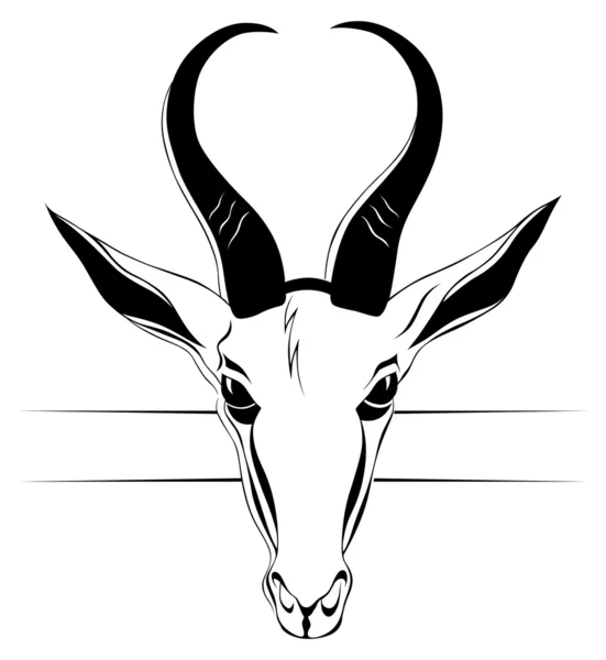Antelope head in vector — Stock Vector