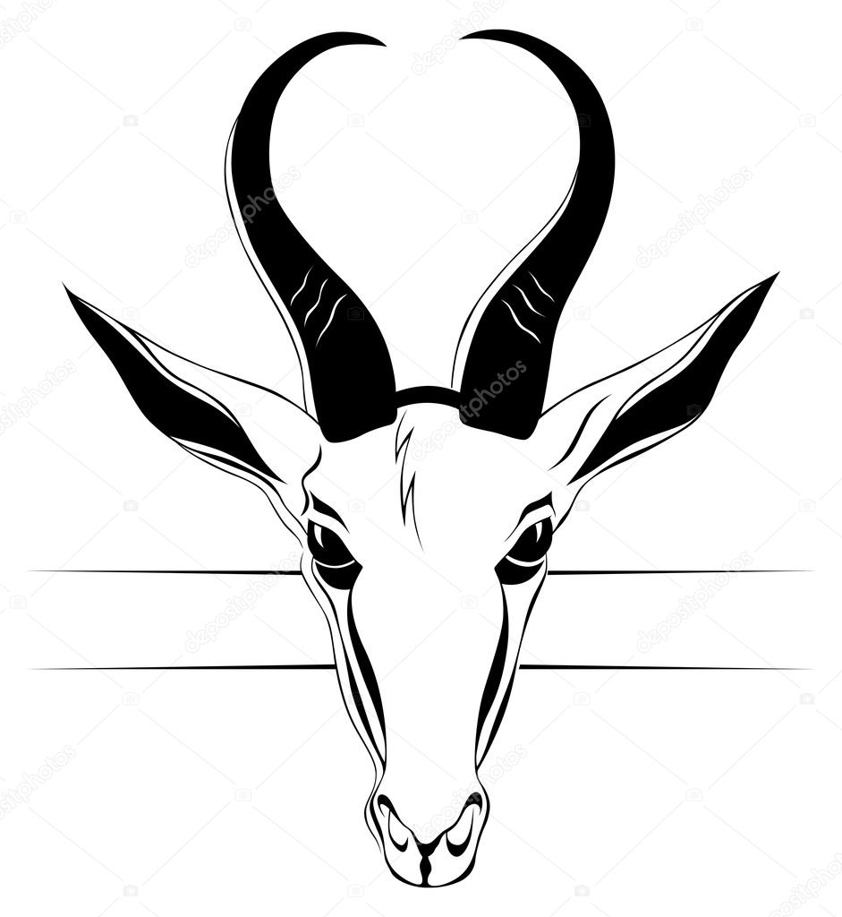 Antelope head in vector