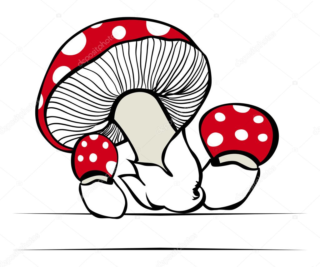 Red mushrooms in vector