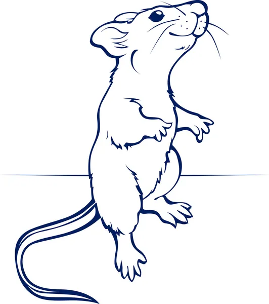 Rata de dibujos animados o ratón — Vector de stock
