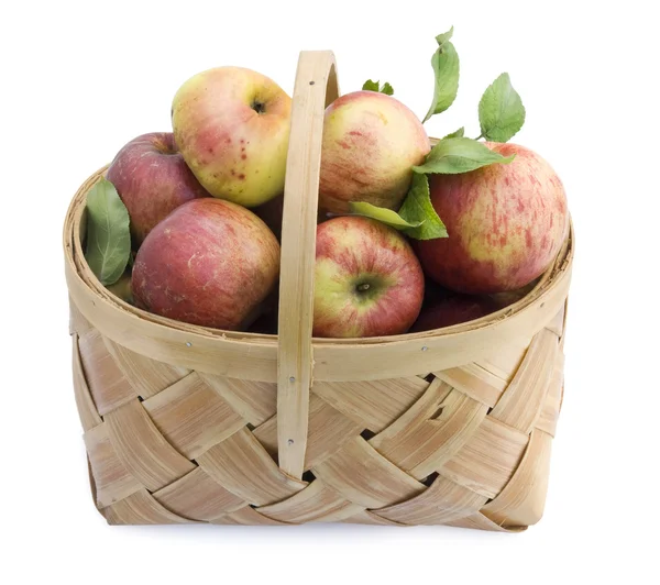 Äpplen på korg — Stockfoto