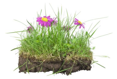 Bunch of lawn- my EARTH concept clipart