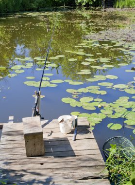 Place for fishing in a small rural pond clipart