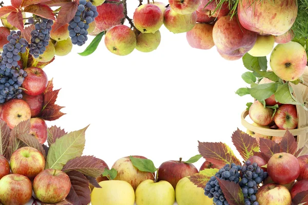 Manzanas de otoño marco collage — Foto de Stock