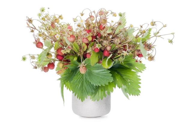 Bouquet from wild wood strawberry — Stock Photo, Image