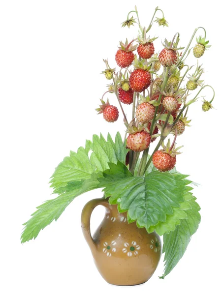 Fresa silvestre en jarra de cerámica pequeña — Foto de Stock