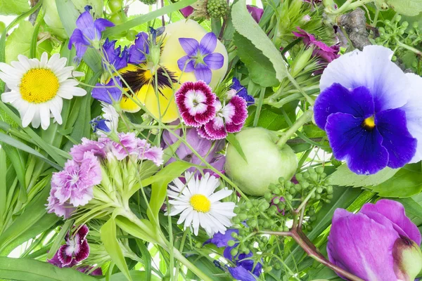 Haziran arka plan bitki ve çiçekler — Stok fotoğraf
