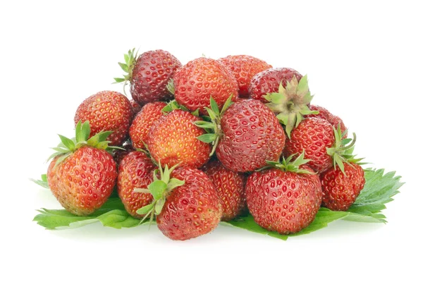 Small group of the real fresh garden strawberry — Stock Photo, Image