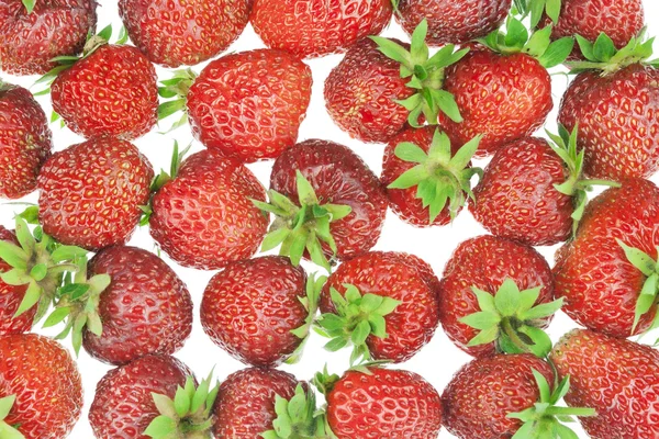 신선한 정원 딸기 배경 — 스톡 사진