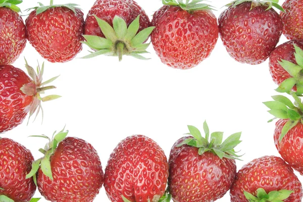 草莓新鲜花园框架 — 图库照片
