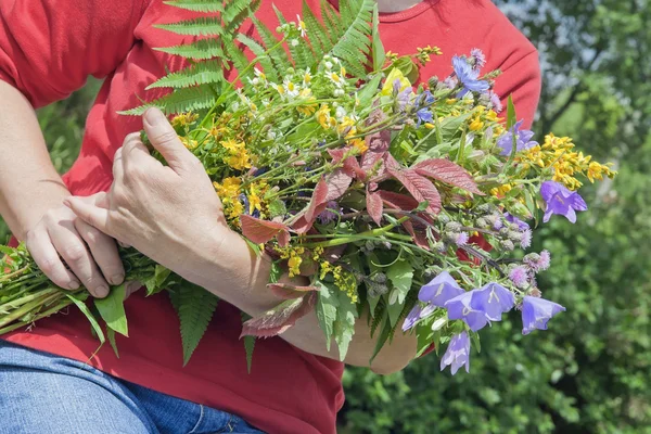 Женщина держит букет диких цветов — стоковое фото