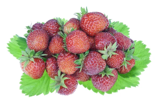 Medaillon aus Erdbeere — Stockfoto