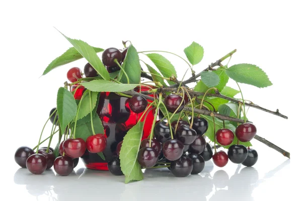 Black cherries branches — Stock Photo, Image