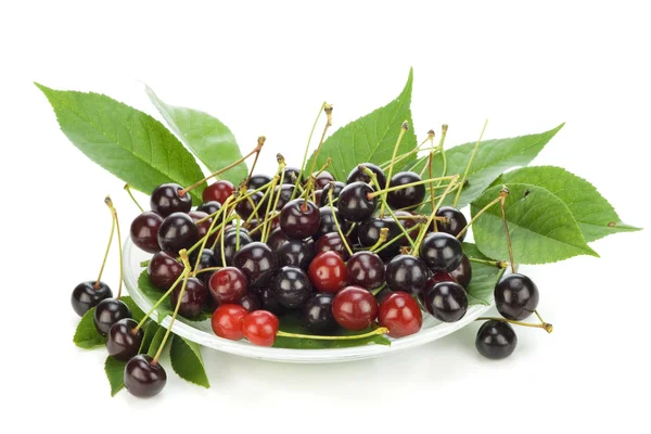 Black cherries on plate — Stock Photo, Image