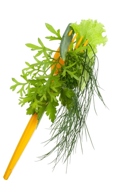 Conceito de dieta de grama verde — Fotografia de Stock
