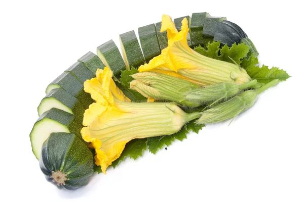 Vegetable marrow is cut on segments — Stock Photo, Image