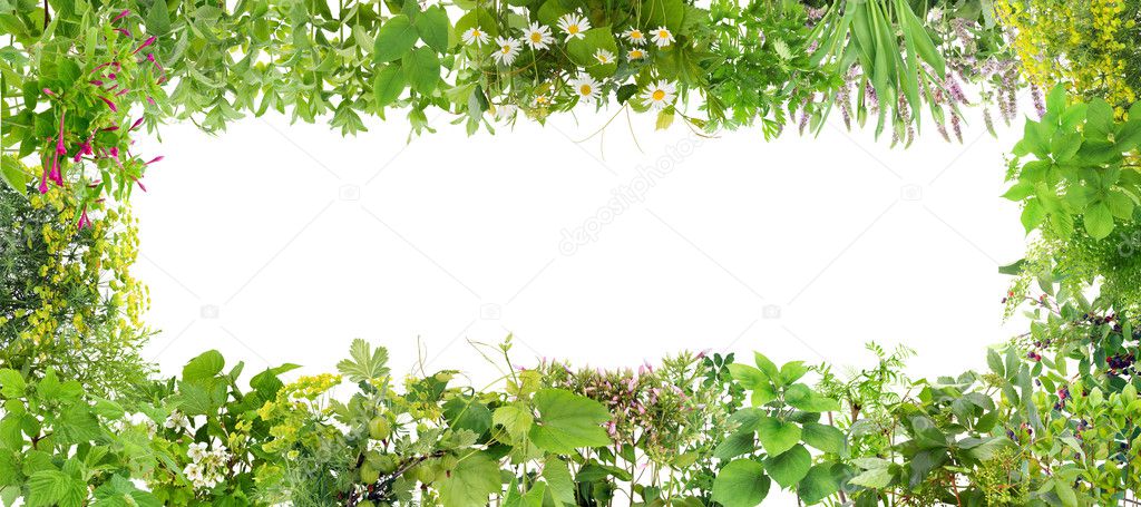 Green banner from plants