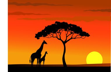 Giraffe silhouette in wildlife Africa clipart