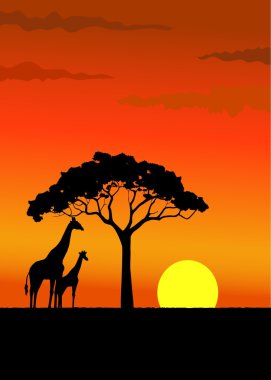 Giraffe silhouette in wildlife Africa clipart