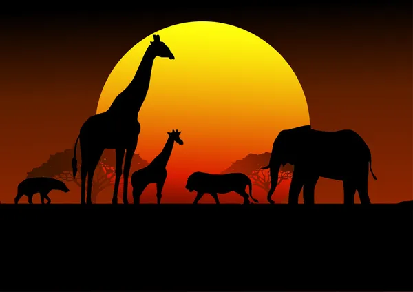 Vadon élő állatok Afrikában sziluett — Stock Vector