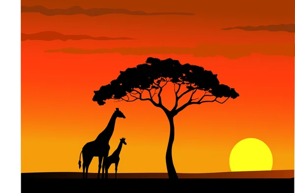 Giraffe silhouette in wildlife Africa — Stock Vector