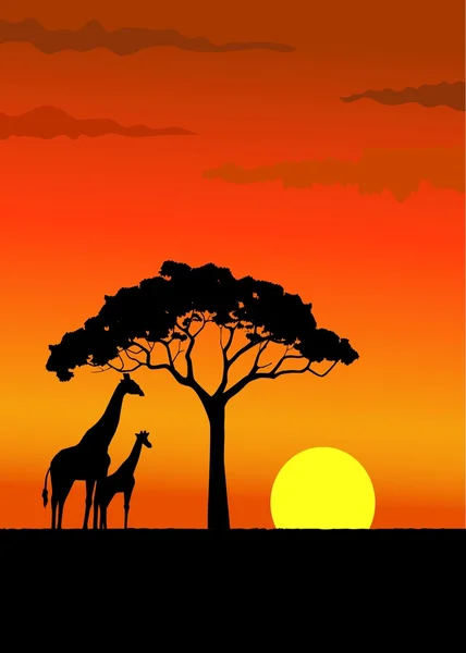 在野生动物非洲长颈鹿剪影 — 图库矢量图片